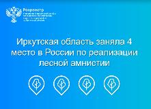 Иркутская область заняла 4 место в России по реализации лесной амнистии.