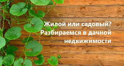 Жилой дом или садовый – разбираемся в дачной недвижимости