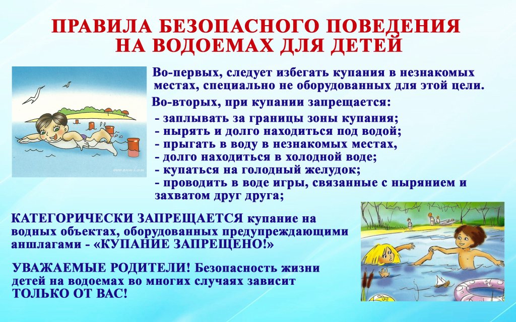 2870908.jpg