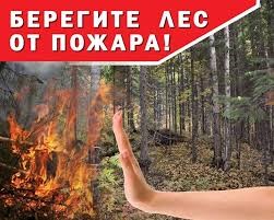 пож.без.в лесу.jpg